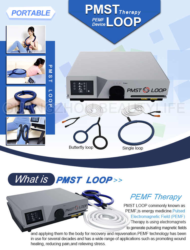 Pmst loop pemf therapy device machine EMS23 PRO - Buy Pmst loop pemf ...