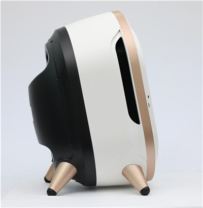 Portable magic facial skin analyzer machine BL-H04
