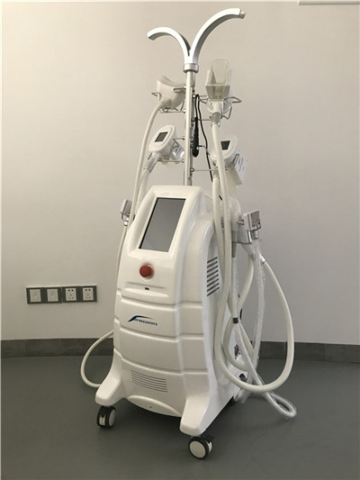 Cryolipolysis machine with 7 handles BL-CRYO05S